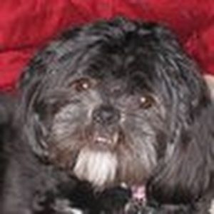 Meet your Posher, Cj